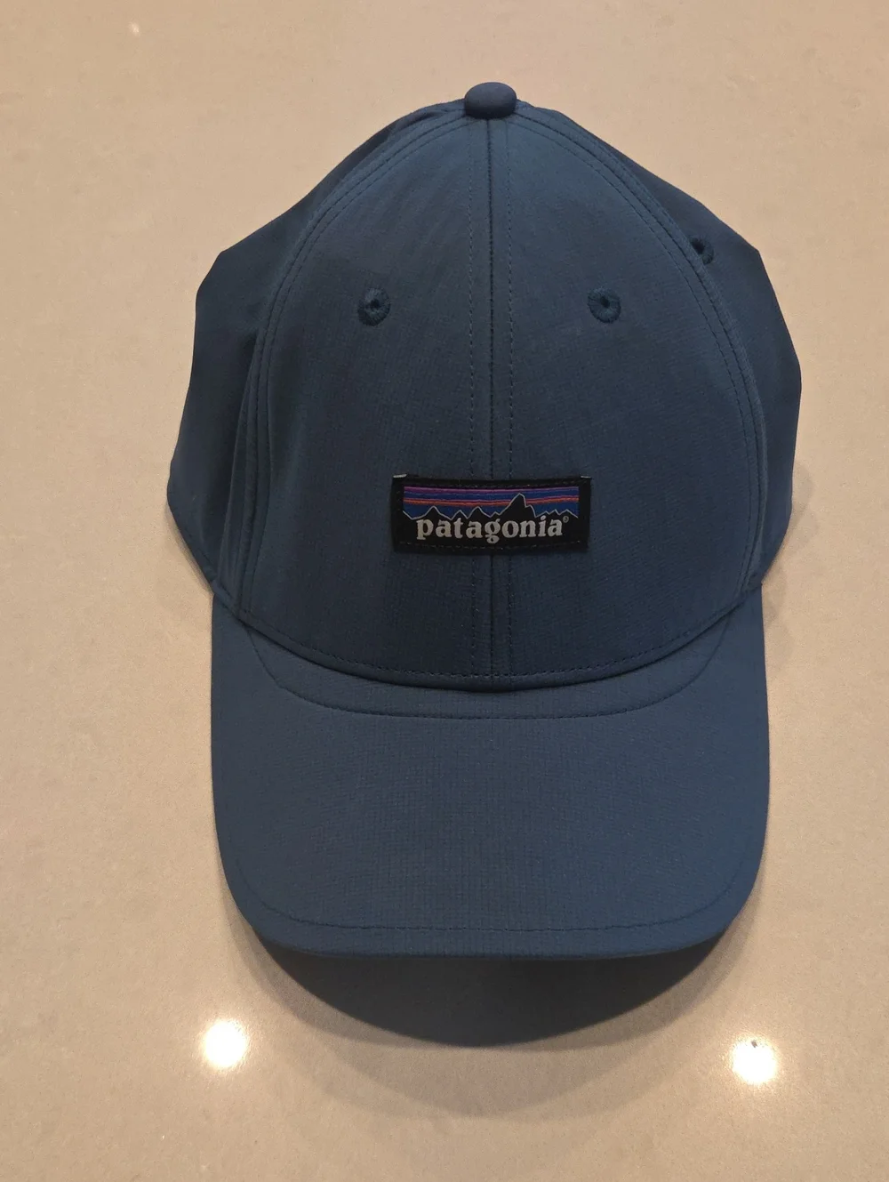 Patagonia Blue Logo Cap